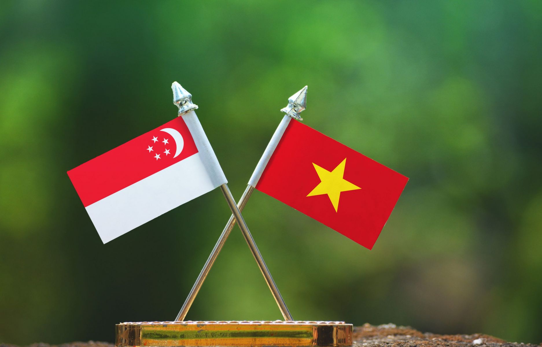 Hai Thủ tướng Việt Nam, Singapore nhất trí mở thêm nhiều khu VSIP