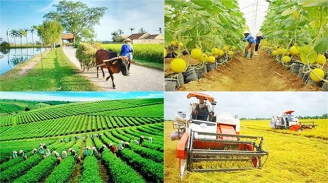 Thủ tướng giao bổ sung kế hoạch đầu tư công vốn ngân sách trung ương cho 27 địa phương