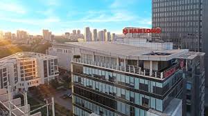 NLG: Quyết định thông qua việc thực hiện giao dịch với bên liên quan