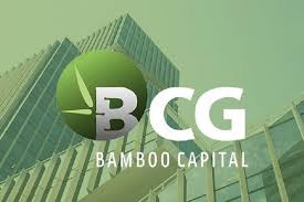BCG: Báo cáo kết quả giao dịch cổ phiếu của người nội bộ Đặng Đình Tuấn