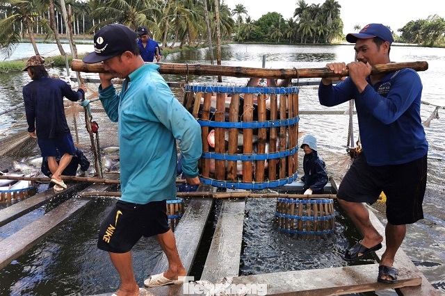 Thách thức thuế Mỹ là ‘phép thử’ quan trọng với doanh nghiệp
