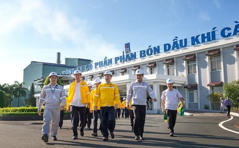 DCM: Cập nhật tài liệu họp ĐHĐCĐ thường niên năm 2025