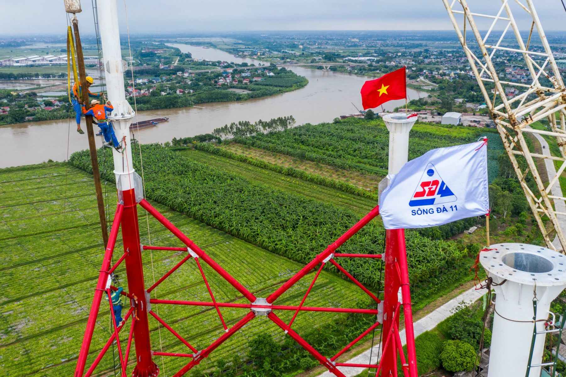 CTCP Sông Đà 11