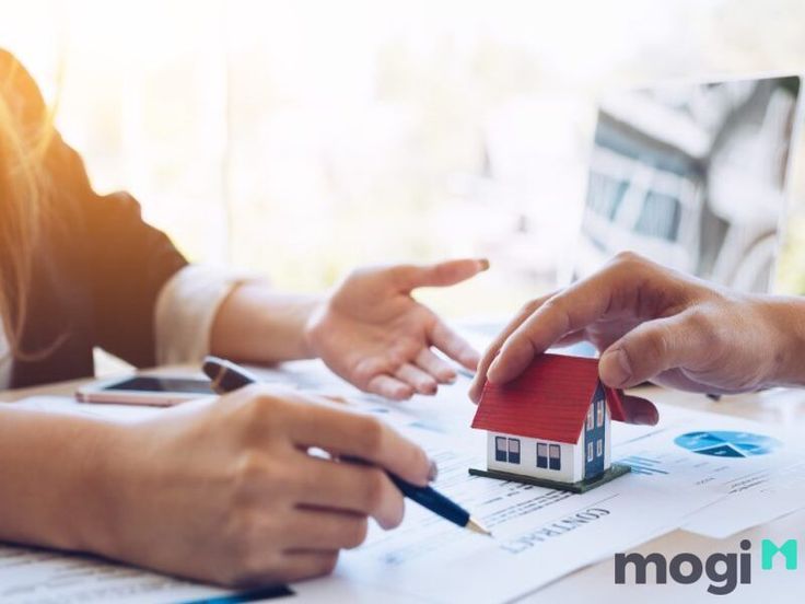 Cổ phiếu Thuduc House (TDH) “bốc đầu” tăng hơn 102% sau 1 tháng