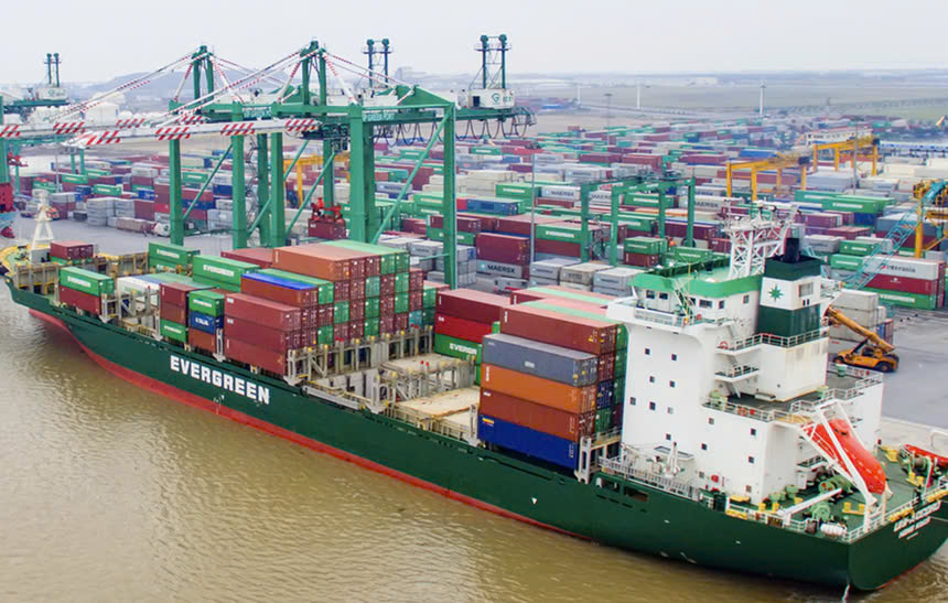 Viconship trình cổ đông kế hoạch tăng lợi nhuận năm 2025 lên 1.250 tỷ đồng