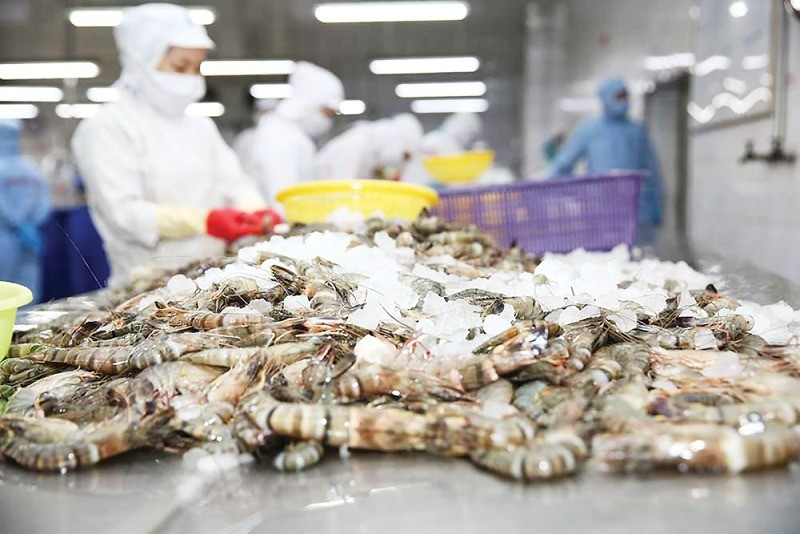 Ngành hàng xuất khẩu tỷ USD kiến nghị bỏ thuế VAT